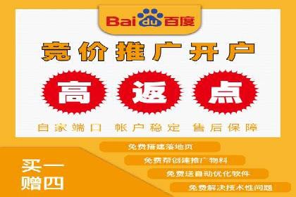 SEM竞价托管代运营助力转化率提升